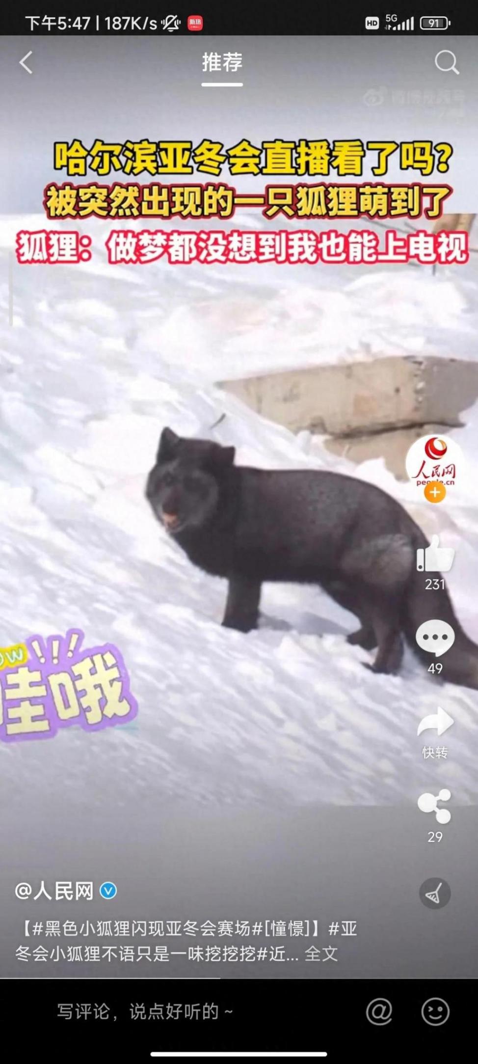 黑色小狐狸闪现亚冬会赛场