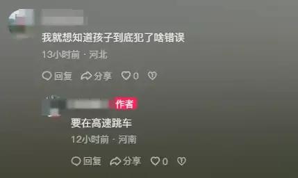 在高速上被妈妈打的“小孩哥”发声